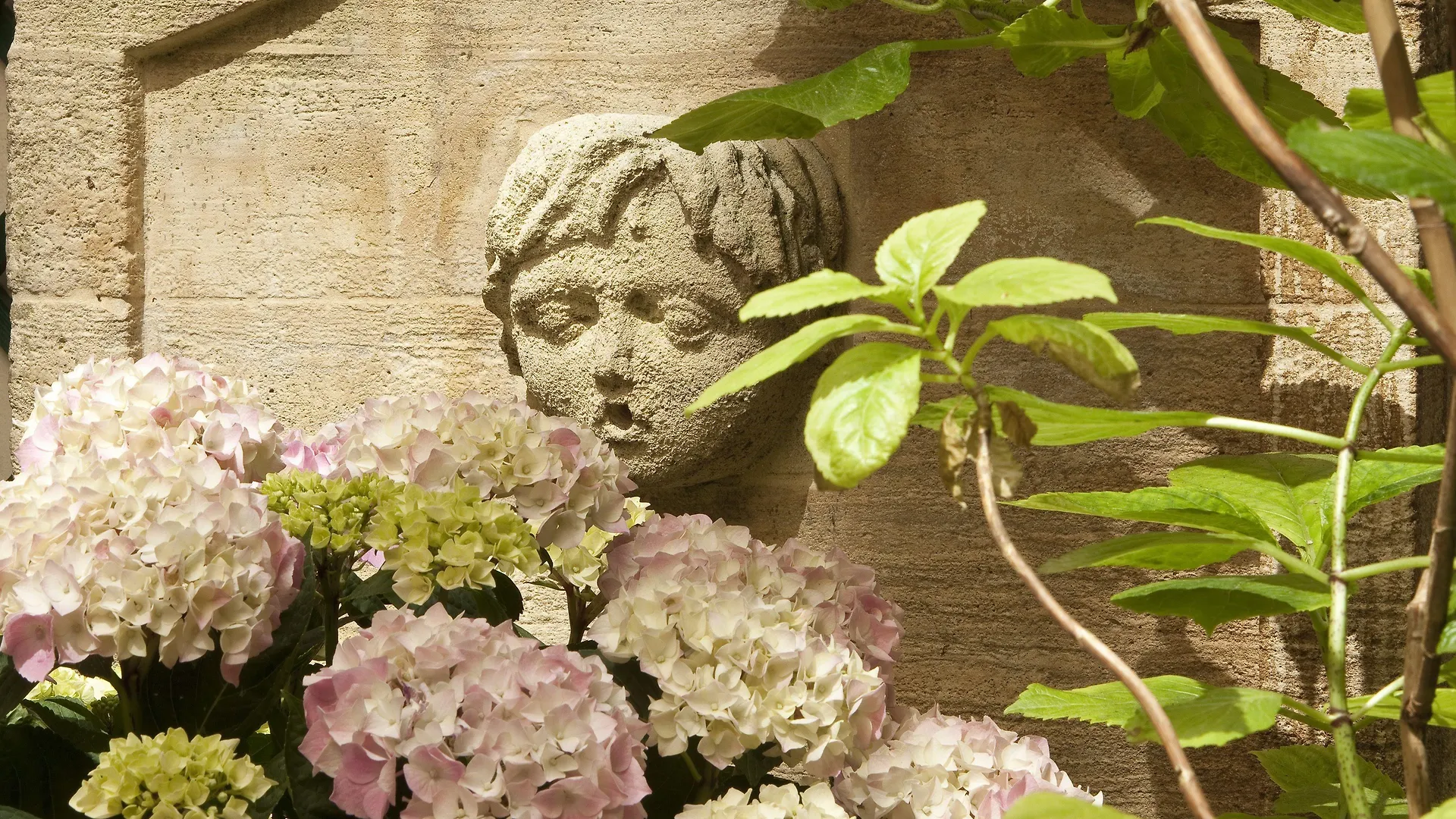 Hotel Chambiges Elysees Paris